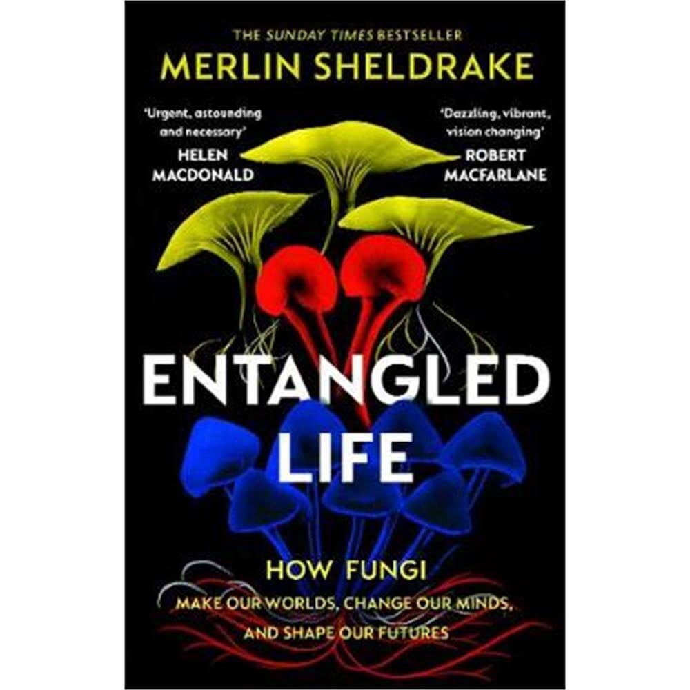 Entangled Life: How Fungi Make Our Worlds, Change Our Minds and Shape Our Futures (Paperback) - Merlin Sheldrake